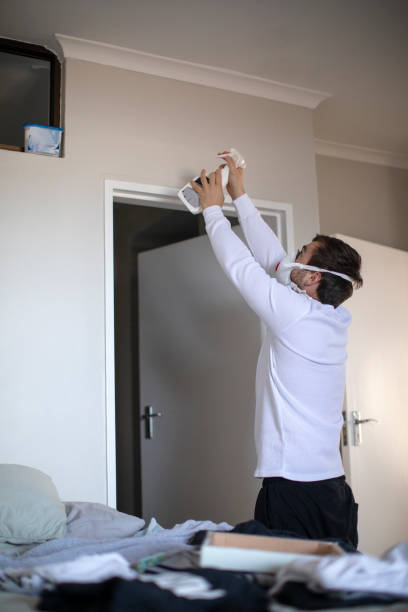 Reliable Santa Clara, OR Mold Removal Solutions