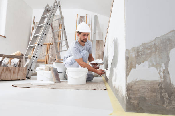 Best Industrial Mold Remediation  in Santa Clara, OR