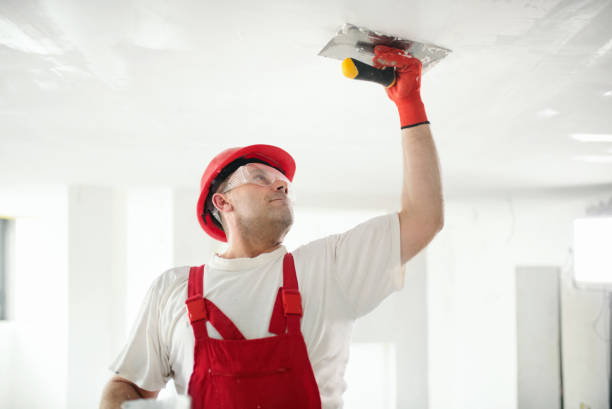 Best Mold Damage Restoration  in Santa Clara, OR