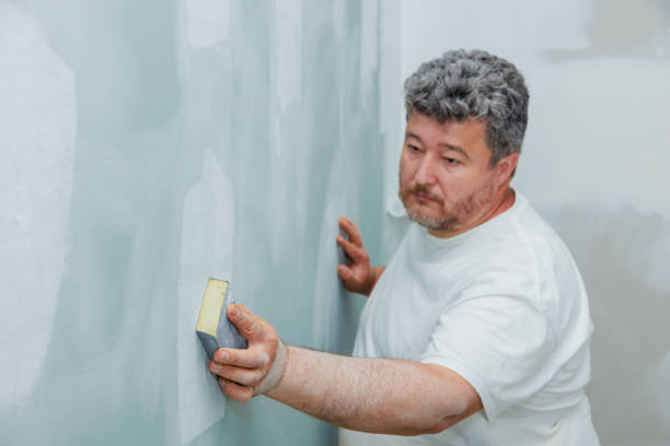 Best Mold Documentation for Insurance Claims  in Santa Clara, OR
