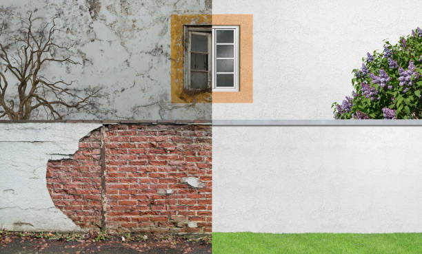 Best Mold Remediation for Rental Properties  in Santa Clara, OR