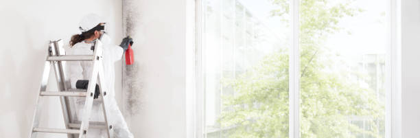 Best Mold-Related Health Consultation  in Santa Clara, OR
