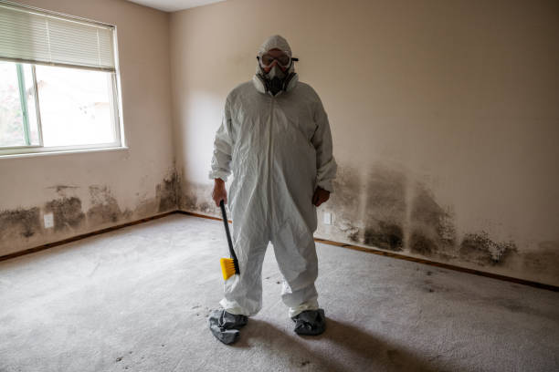 Best Mold Odor Removal Services  in Santa Clara, OR